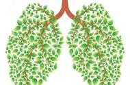 為什麼風溼免疫性疾病會導致肺間質改變？