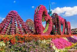 世界最美的花園，也是全球最大的花園，植物總的數量達到2.5億株！