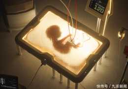 人造子宮要來？年產30000名嬰兒，80%民眾表示支援，女性地位不保？